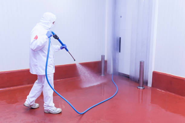 Best Rust Removal  in Atkins, VA